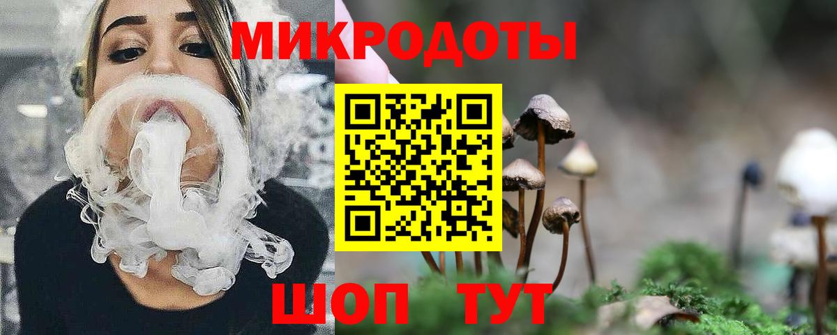 Элиста  Галлюциногенные грибы GOLDEN TEACHER  Вход с VPN 